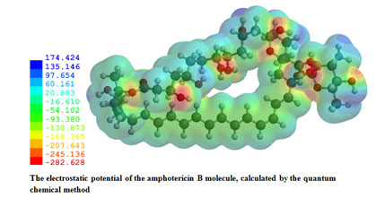 AmphotericynB